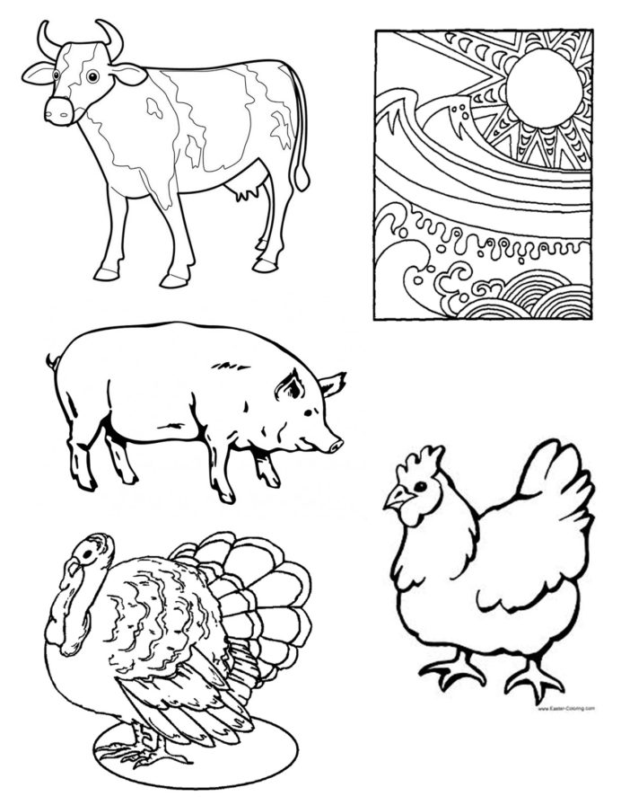 Protein Coloring Free Food Groups Worksheets Multiplication And ...