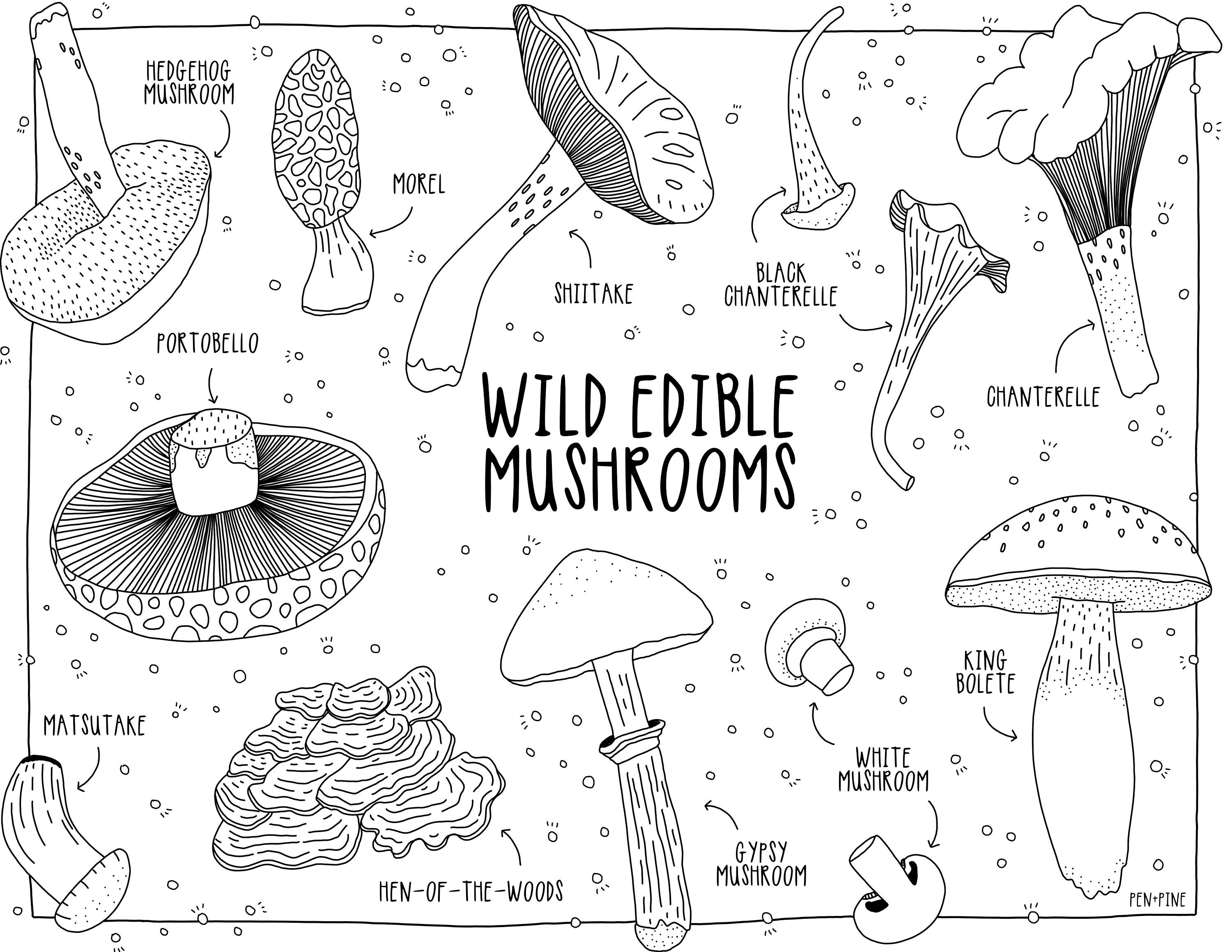 Mushroom Printable Coloring Page Adult Children's - Etsy