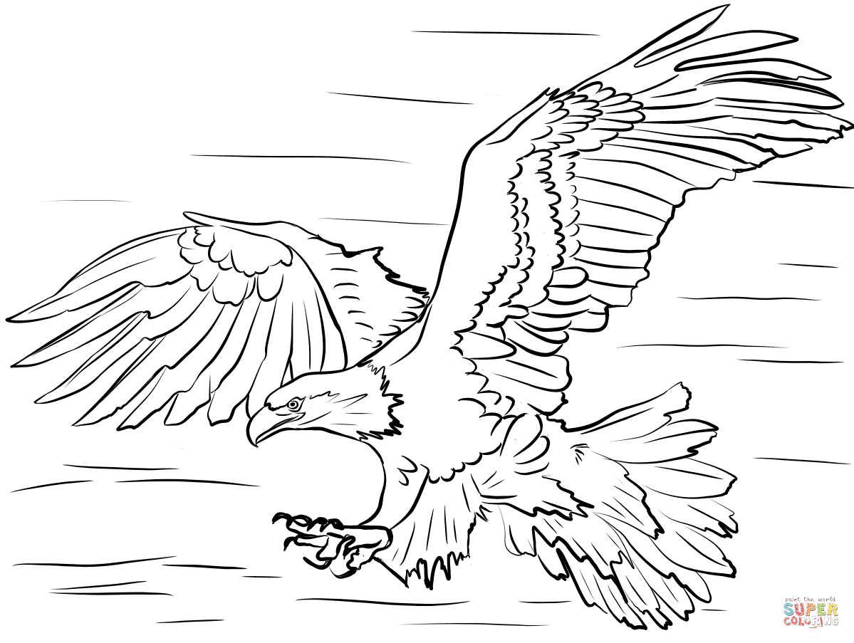 Bald Eagle Diving for Prey coloring page | Free Printable Coloring Pages