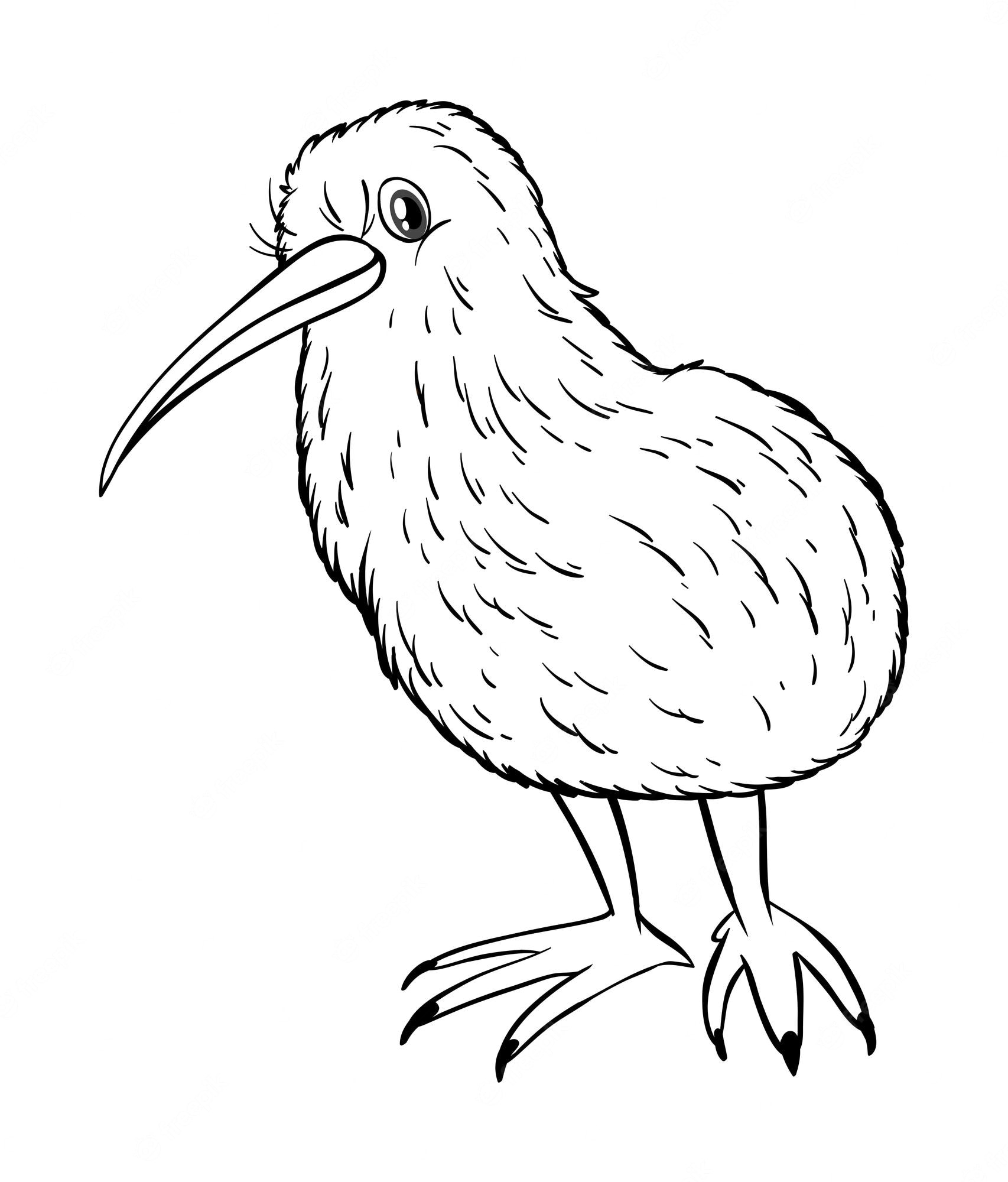 Free Vector | Animal outline for kiwi bird