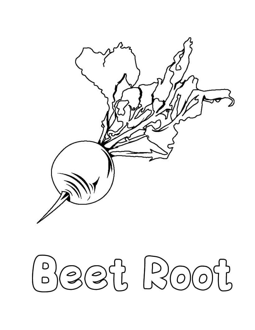 Beetroot coloring page - Coloring pages