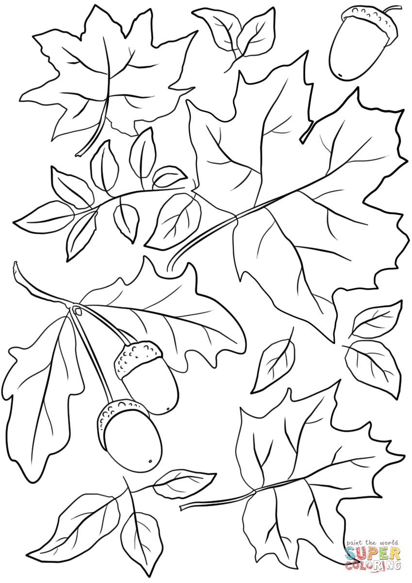 Coloring Sheet Autumnaves And Acorns Page Pages Palm Preschool Back To  School Free Fall – Approachingtheelephant