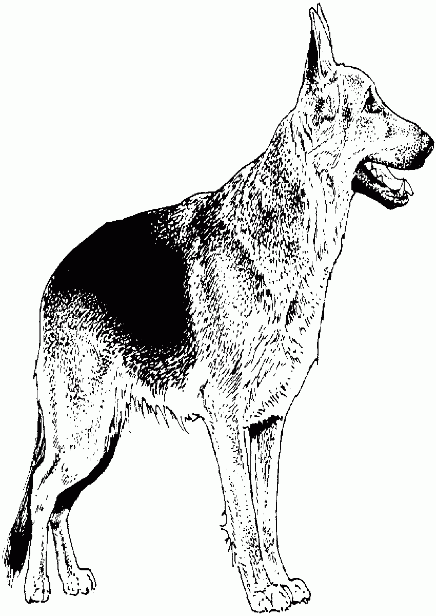 German Shepherd Dog Coloring Pages | Best Coloring Page Site