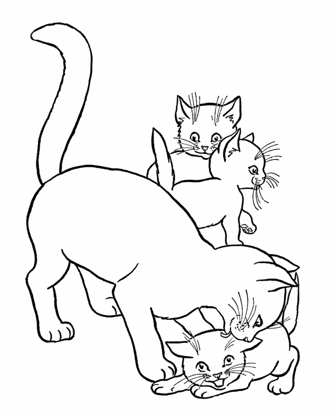 Cat Coloring Pages Print - High Quality Coloring Pages