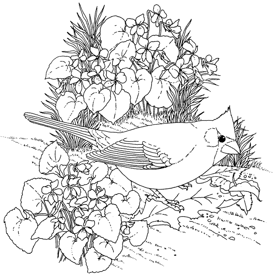 Coloring Pages: Adult Coloring Pages Flowers Gianfreda Coloring ...