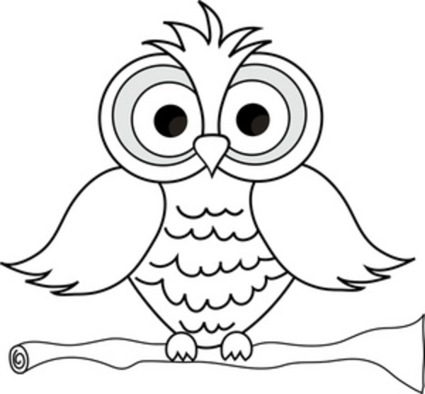 Cute Owl Coloring Pages | Large | Owl coloring pages, Bird ...