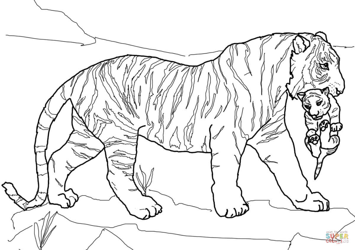 Mother Tiger Carrying Cub coloring page | Free Printable Coloring ...