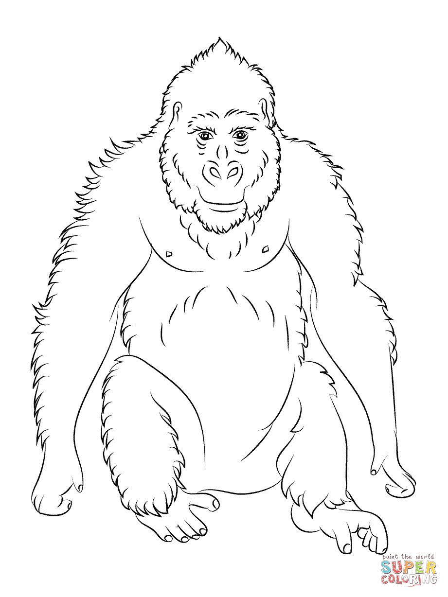 Gorilla Ape coloring page | Free Printable Coloring Pages