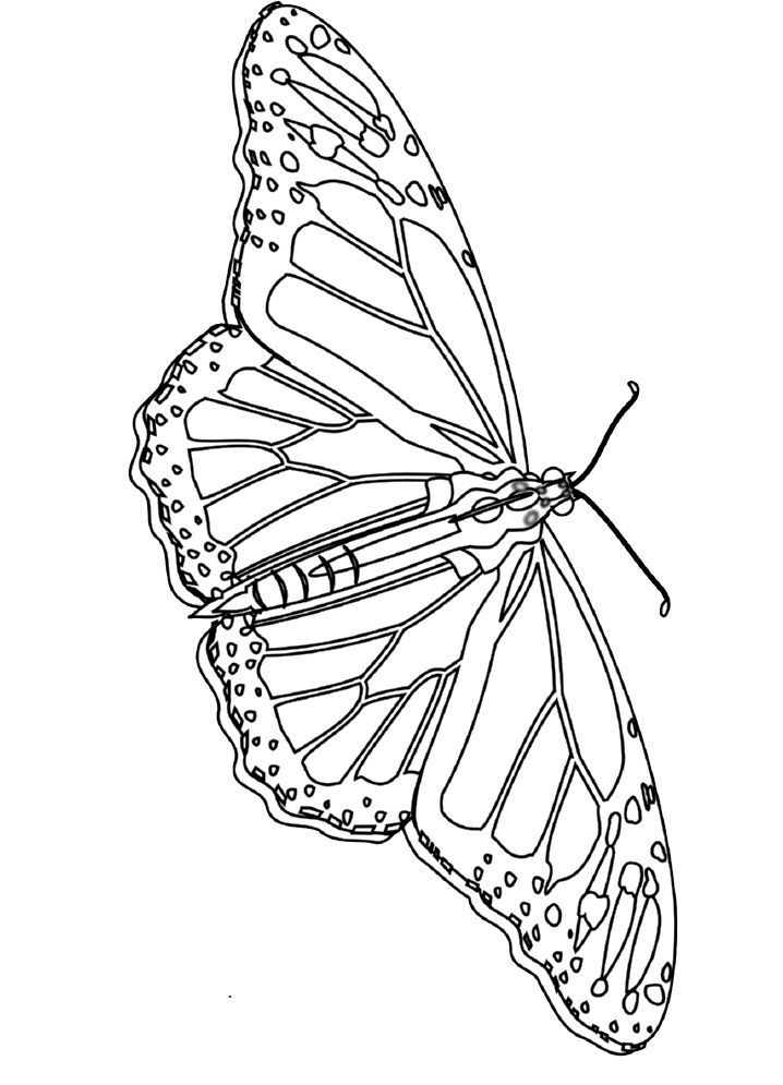 Monarch Butterfly Coloring Page AZ Coloring Pages, Monarch ...