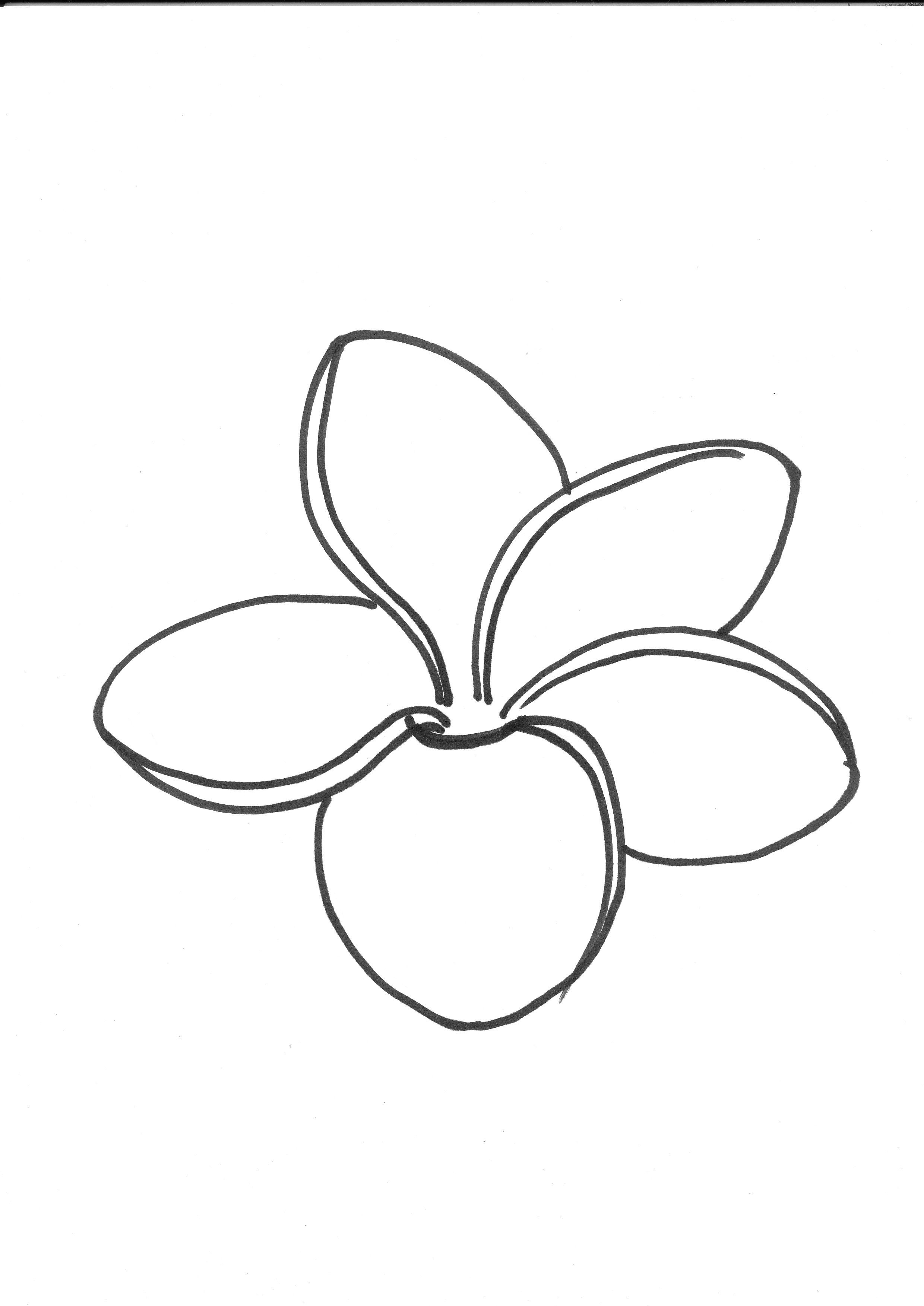 11 Images of Plumeria Flower Coloring Pages - Plumeria Flower Tattoo  Drawing, Flower Printa… | Flower line drawings, Flower tattoo drawings,  Hawaiian flower drawing