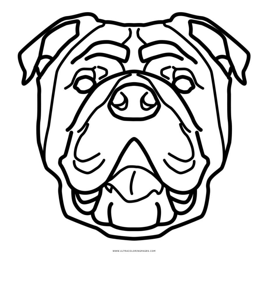 English Bulldog Coloring Page English Bulldog Icon Png - Clip Art Library