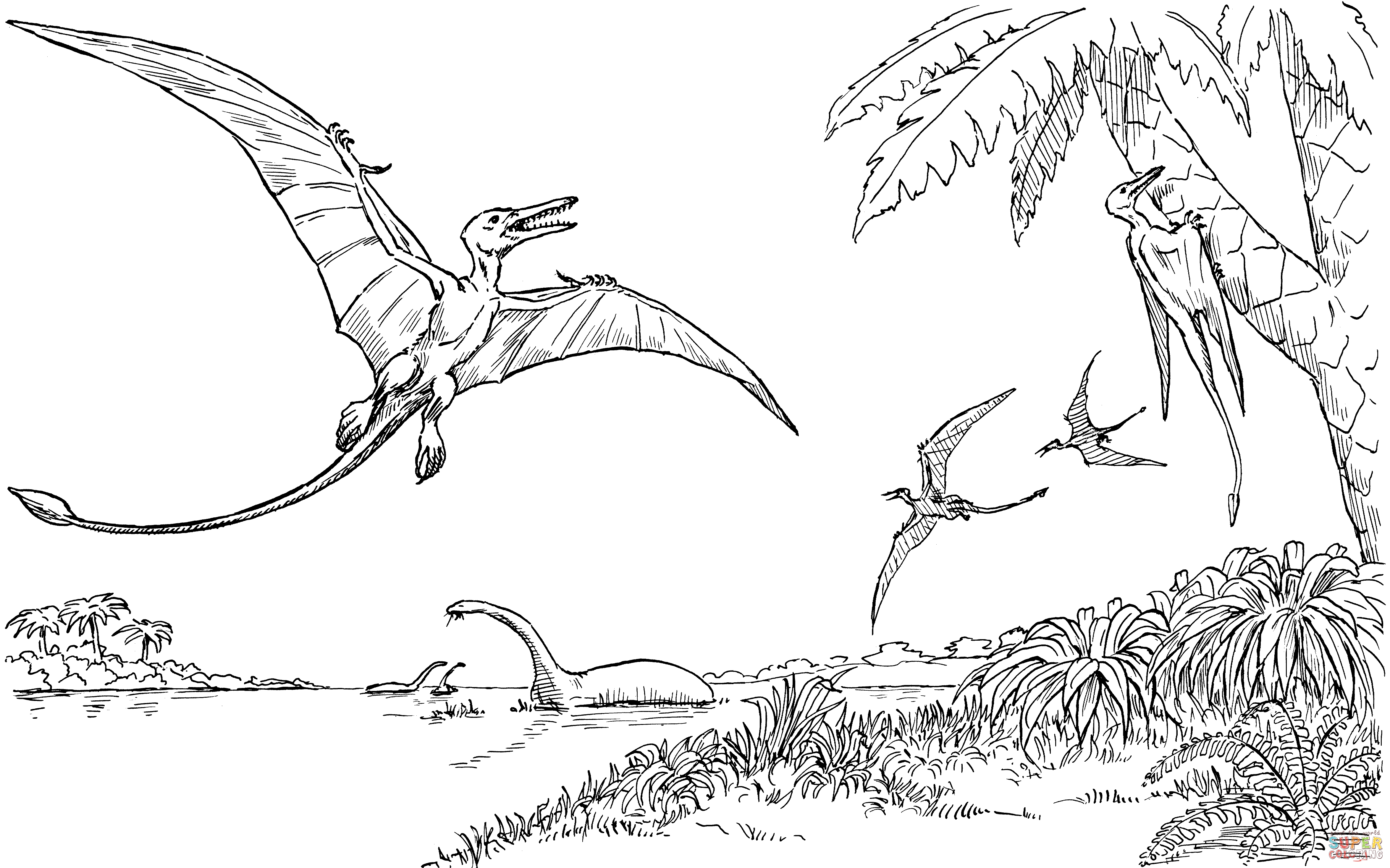 Rhamphorhynchus coloring page | Free Printable Coloring Pages