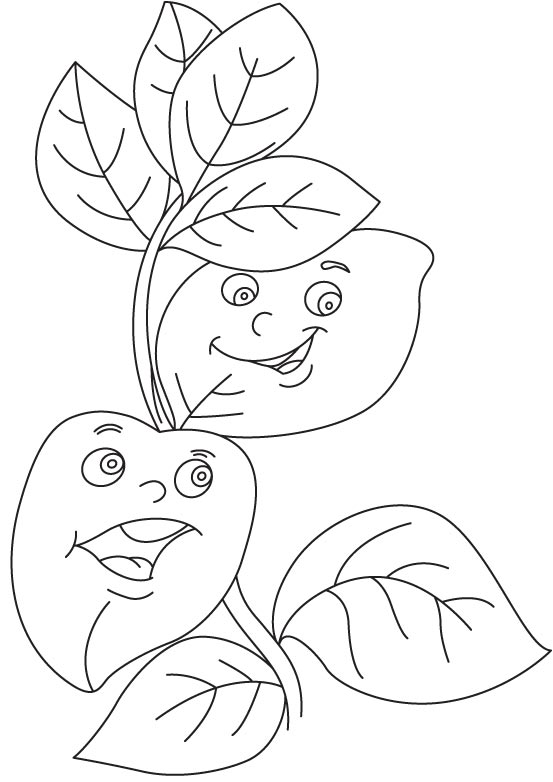 Basil leaves coloring page | Download Free Basil leaves coloring page for  kids | Best Coloring Pages