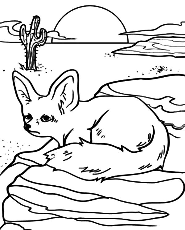 Desert Coloring Pages - Best Coloring Pages For Kids