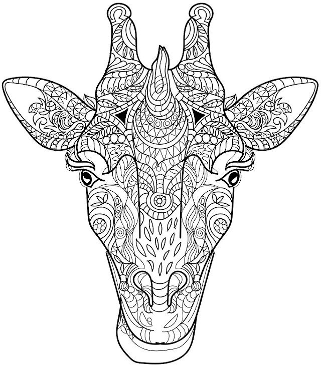 coloring pages : Animal Coloring Pages Forlts Giraffelt Animals Best Kids  Young Adult Coloring Animals ~ malledthebook