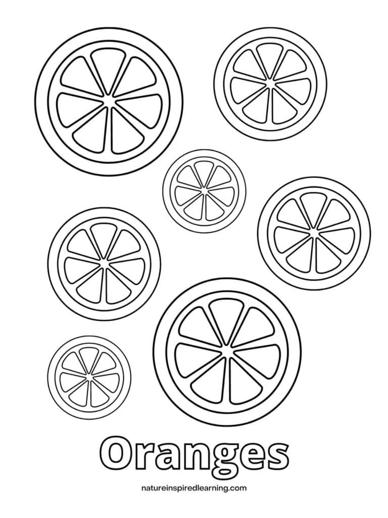 Orange Coloring Pages and Templates - Nature Inspired Learning