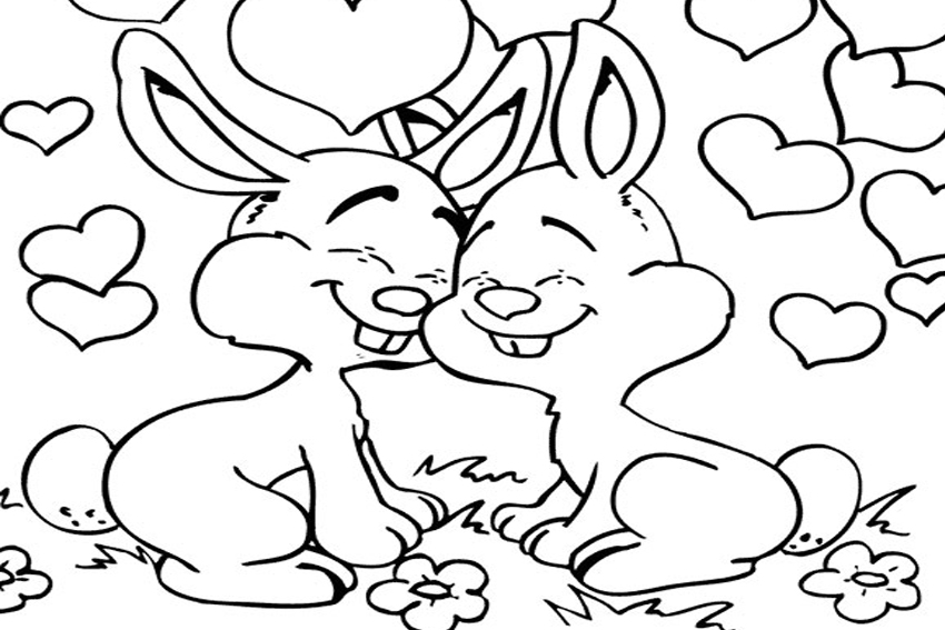 Color in a bunnies coloring page in stead of buying some pets