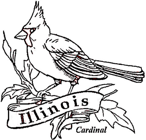 Cardinal Bird Of Illinois coloring page | Free Printable Coloring ...