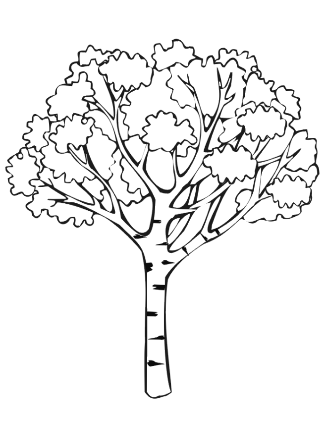 Tree coloring pages