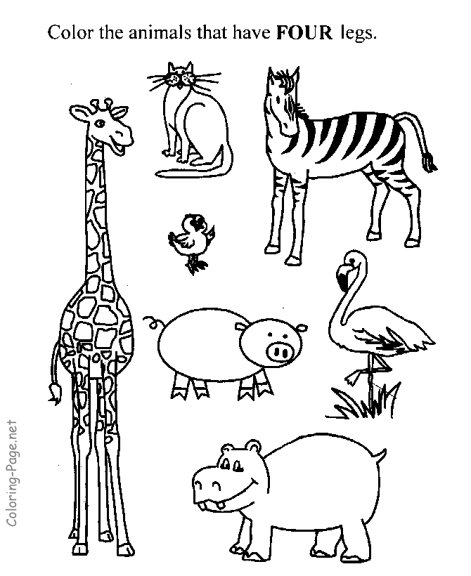 Child activity pages - Which has four legs?