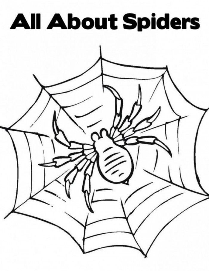 Spider Body Coloring Page