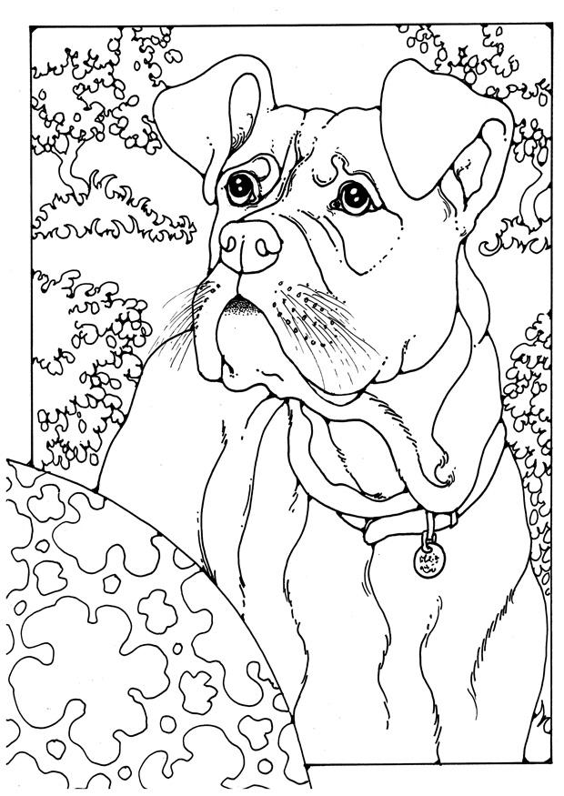 Coloring page boxer - img 28204.