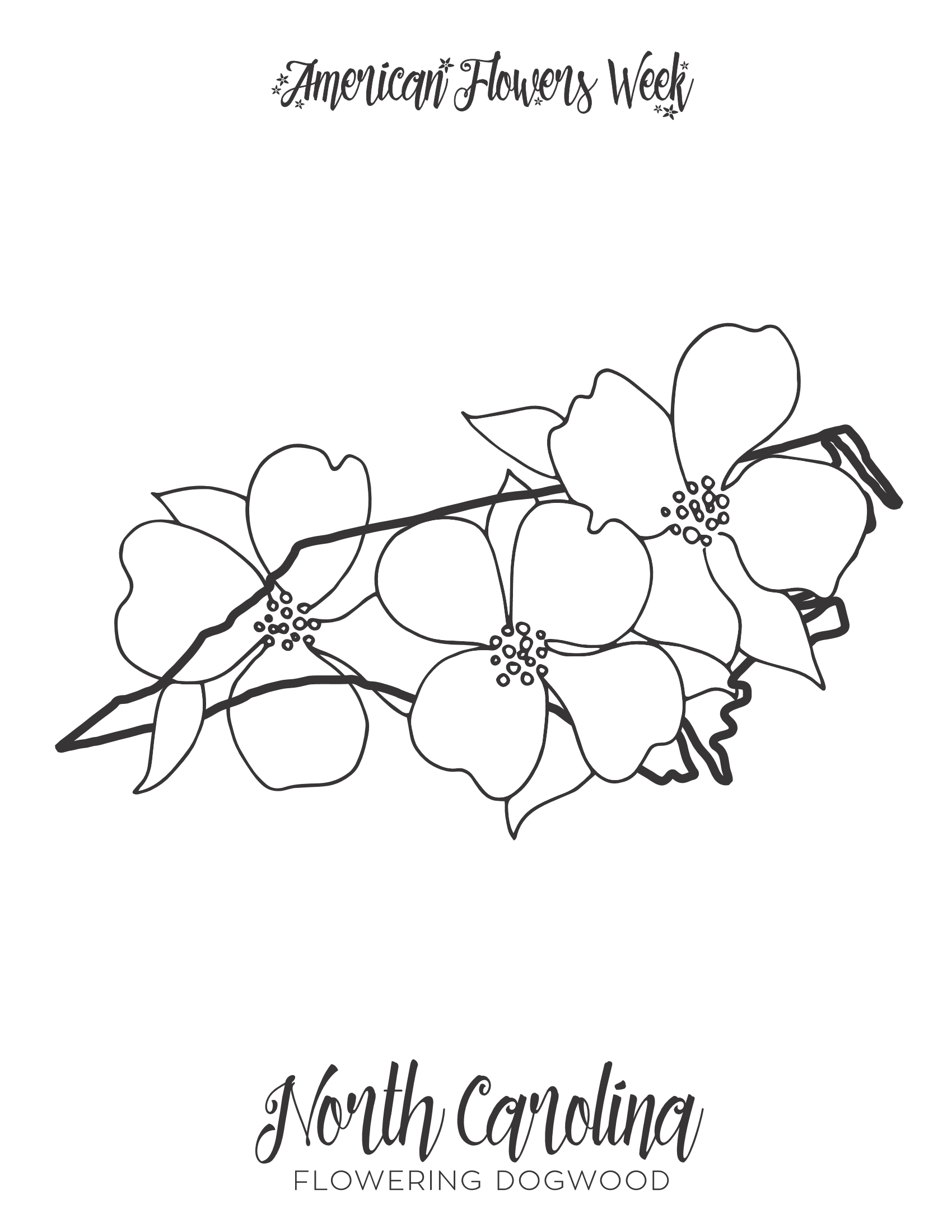 50 State Flowers — Free Coloring Pages | american flowers week