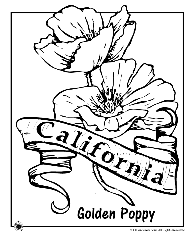 State Flower Coloring Pages | Woo! Jr. Kids Activities
