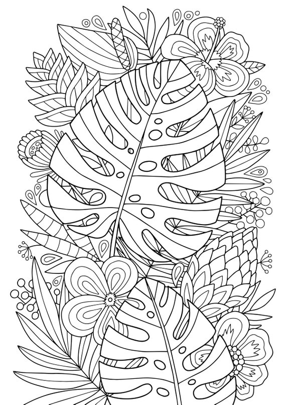 Adult Coloring Page: Monstera Tropics. Doodle Art DIY - Etsy