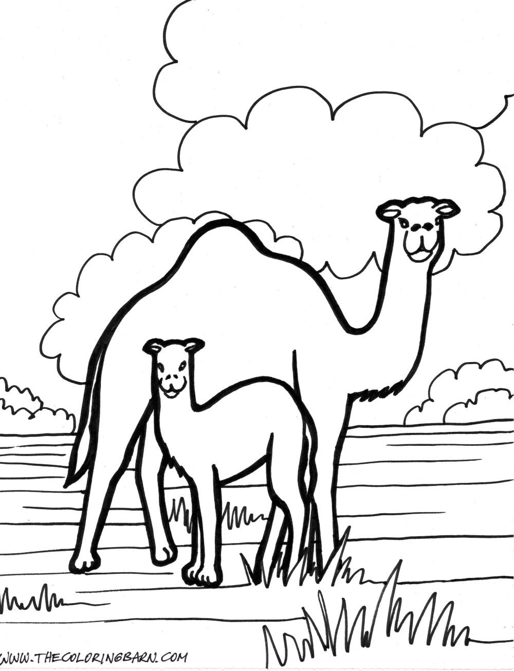 Drawing Dromedary #6043 (Animals) – Printable coloring pages