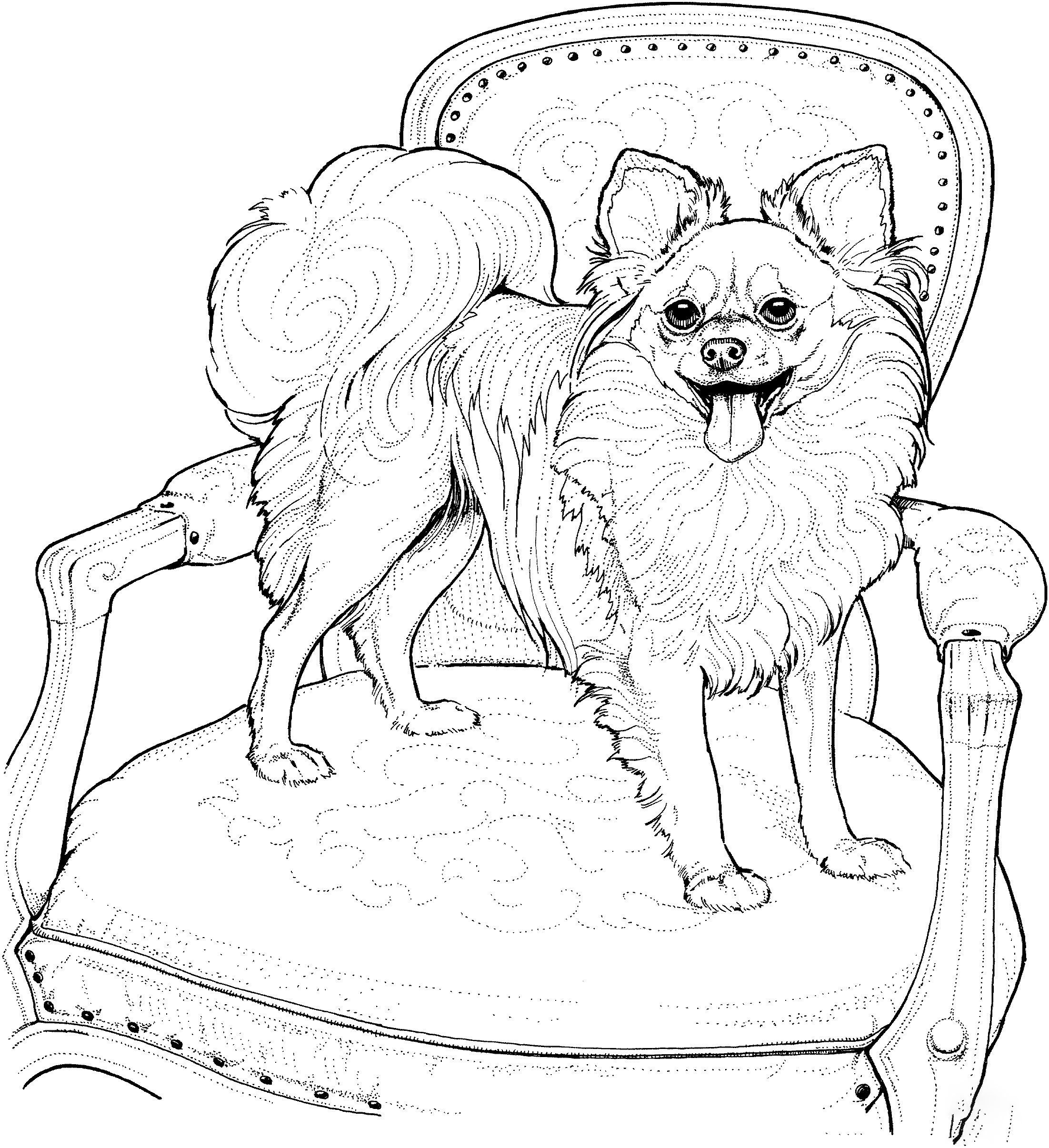 Papillon Coloring Pages - Puppy ...