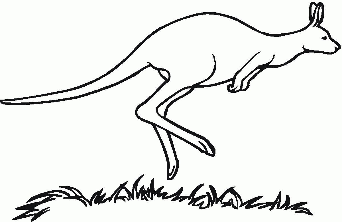 Kangaroo Coloring Page (19 Pictures) - Colorine.net | 18387