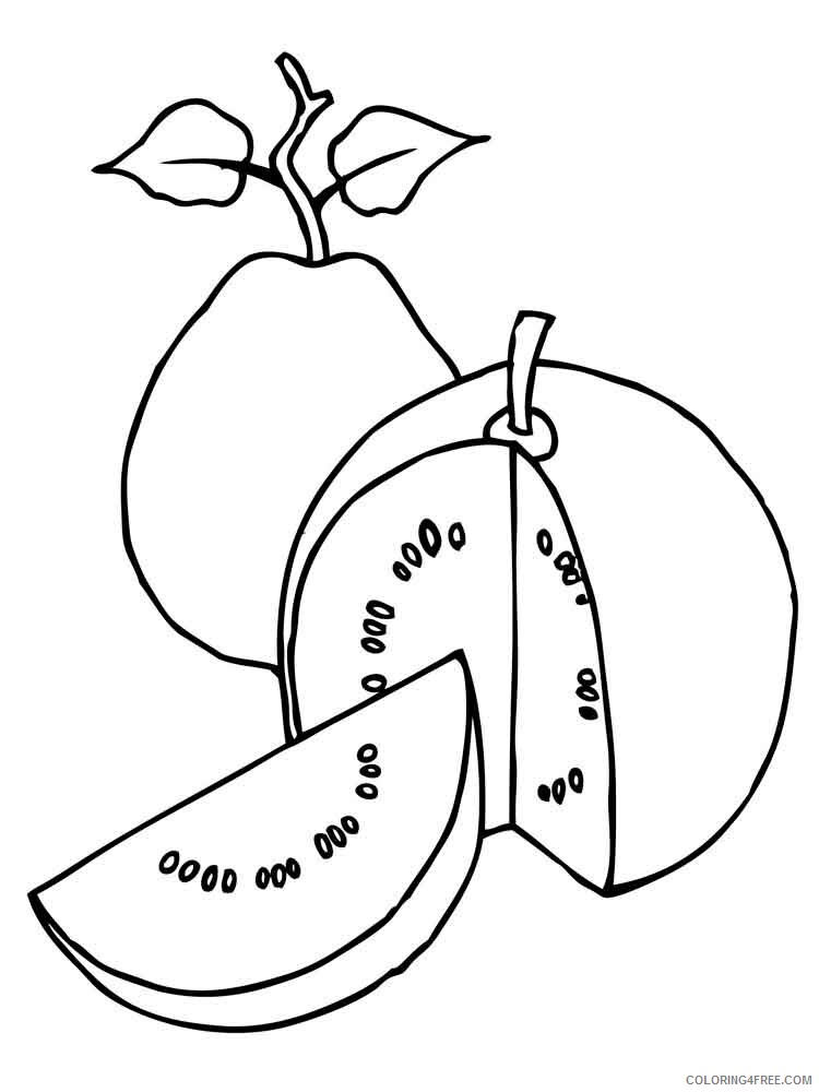 Guavas Coloring Pages Fruits Food Guavas fruits 3 Printable 2021 223  Coloring4free - Coloring4Free.com