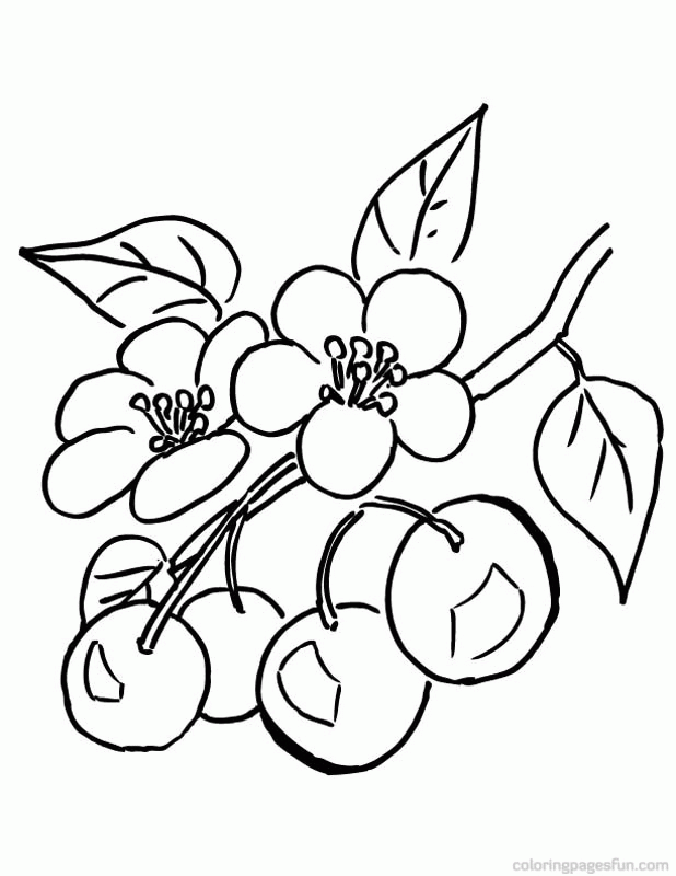 Best Photos of Cherry Tree Coloring Page - Cherry Blossom Tree ...