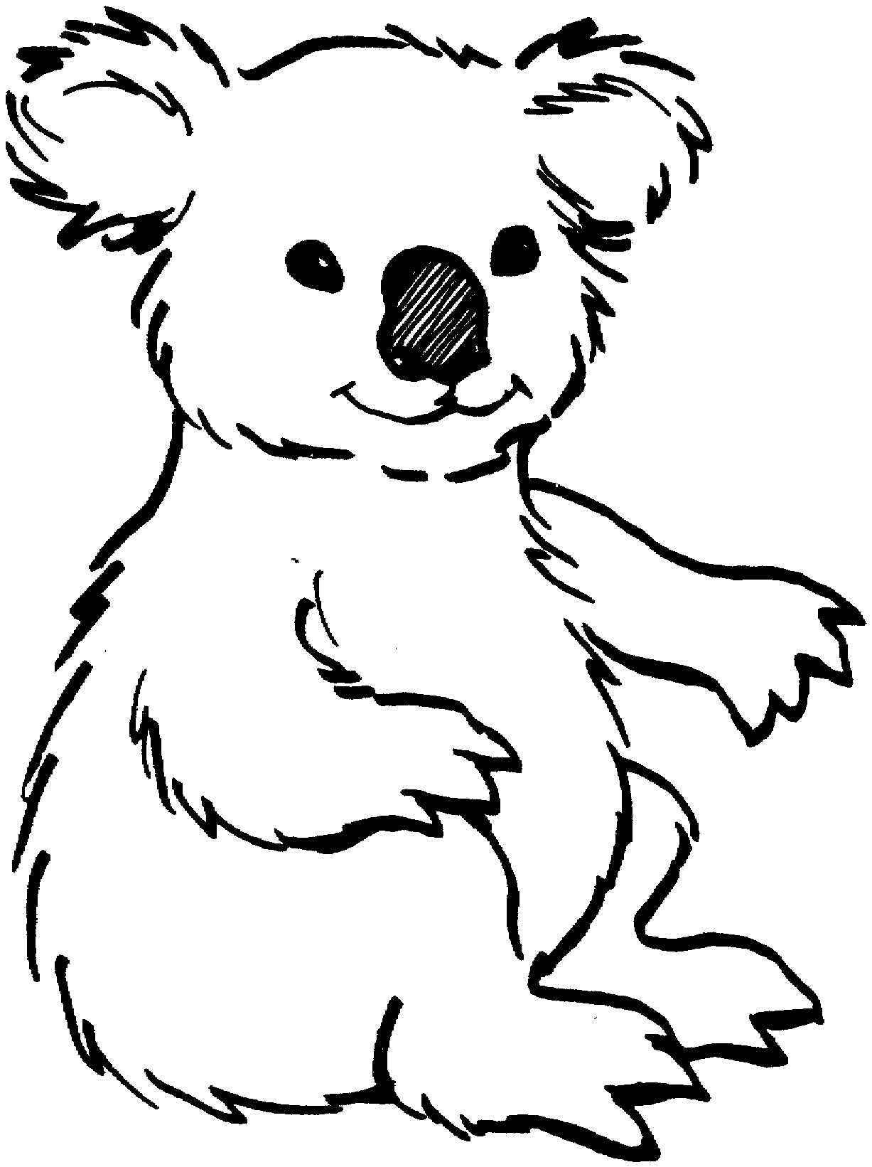 Koala bear coloring page | www.bloomscenter.com