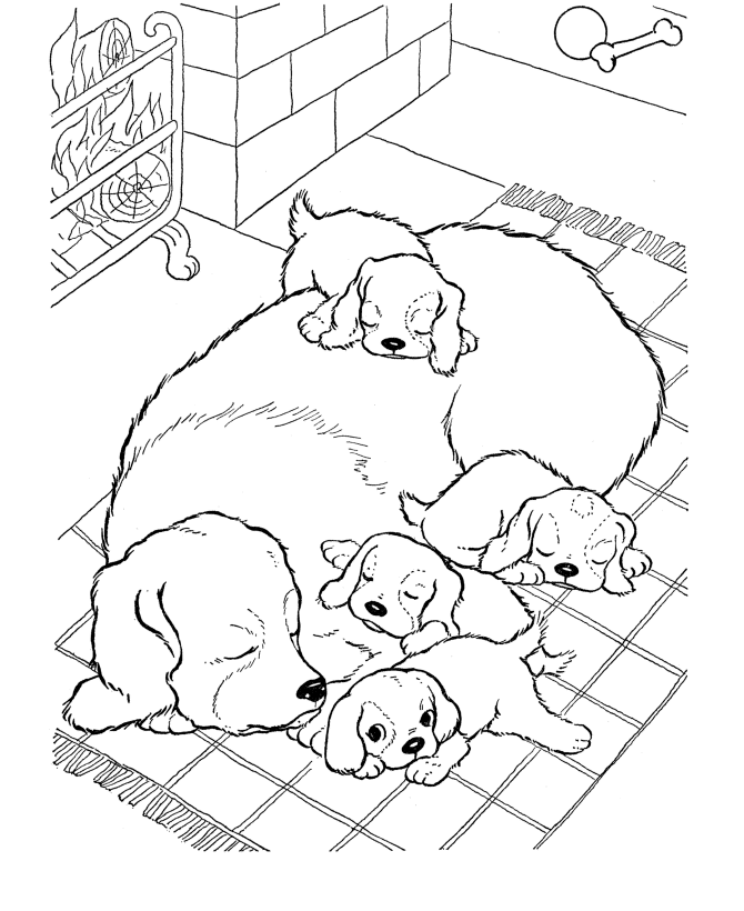 golden retriever puppy coloring page - Clip Art Library