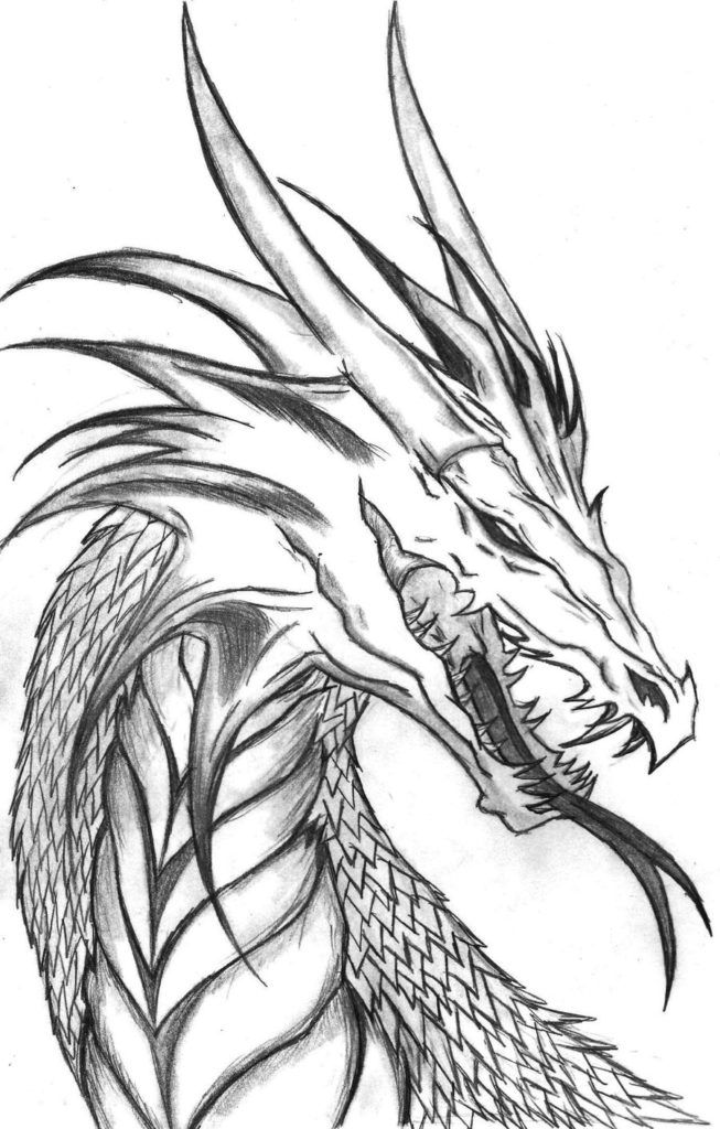 Free Realistic Dragon | Coloring Pages For Adults, Download Free Realistic  Dragon | Coloring Pages For Adults png images, Free ClipArts on Clipart  Library