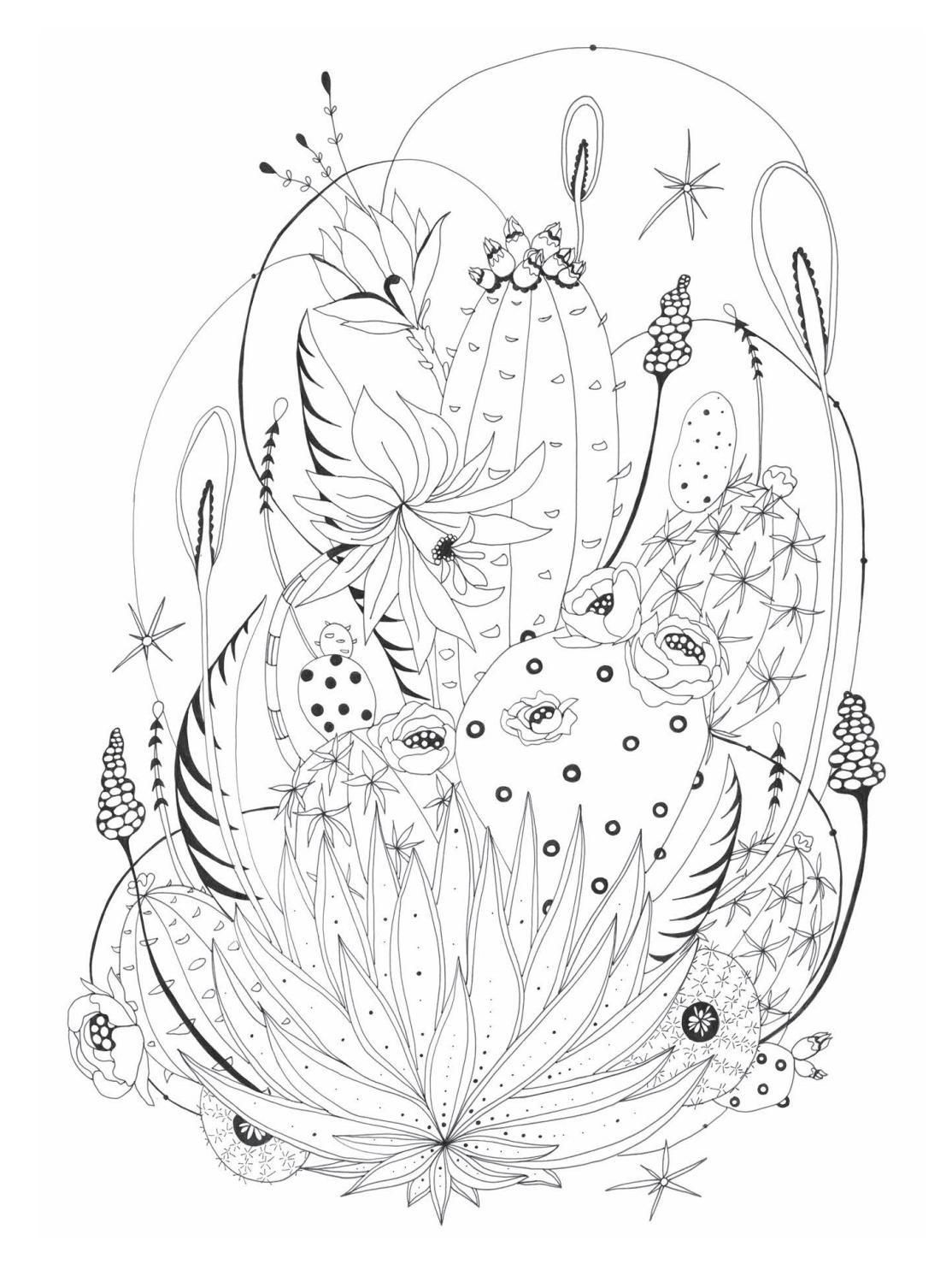 Botanical Wonderland: Artist's Edition | Cool coloring pages, Flower line  drawings, Coloring books
