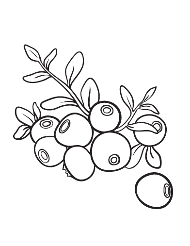 Free Blueberry Coloring Page