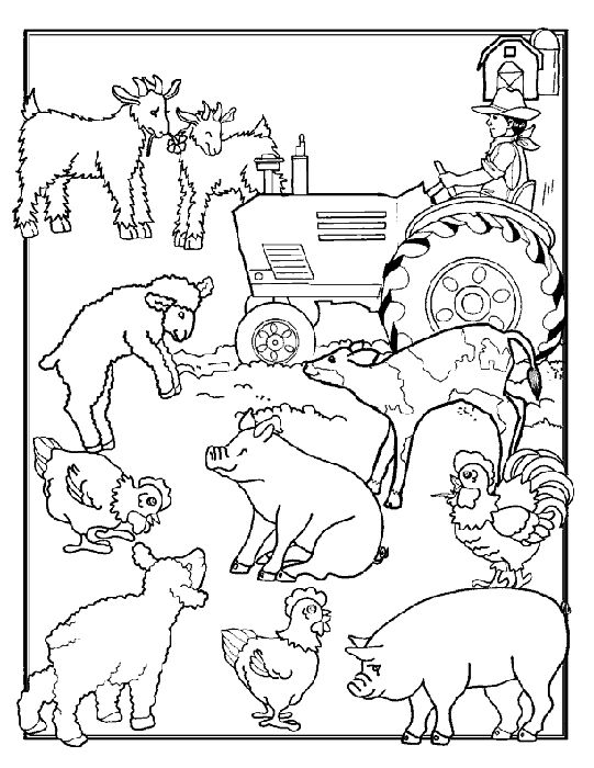A lot of farm animals pictures for coloring LEUKE KLEURPLAAT VOOR ...