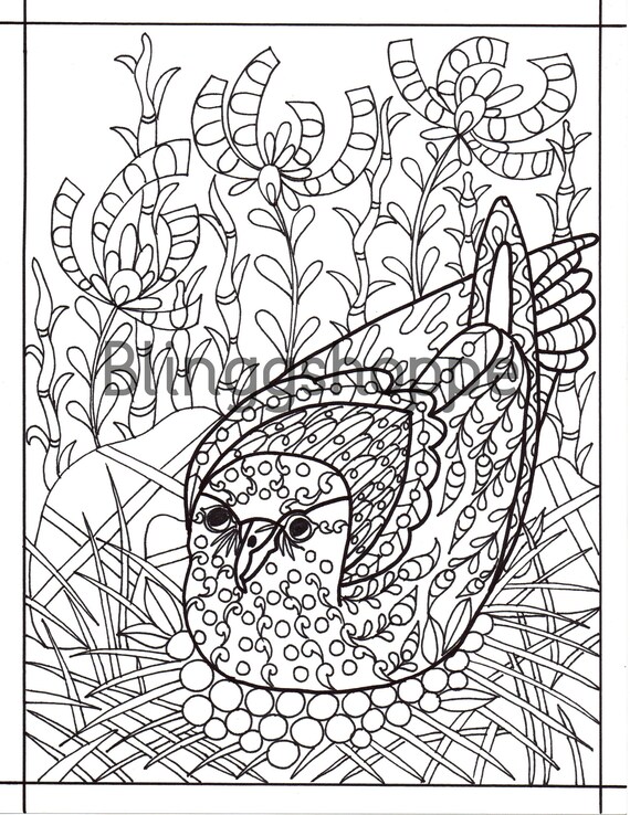 Bird Adult Coloring Pages Printable Adult Coloring Page - Etsy Singapore