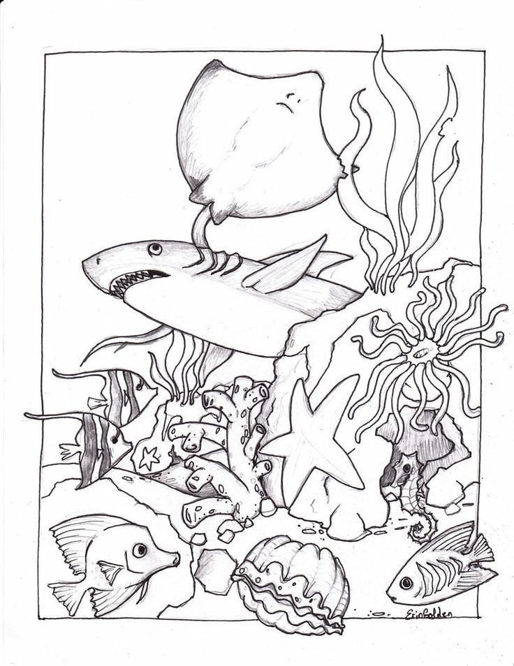 Pin by Kimji Soo on School Learning Underwater Friends Coloring Pages…