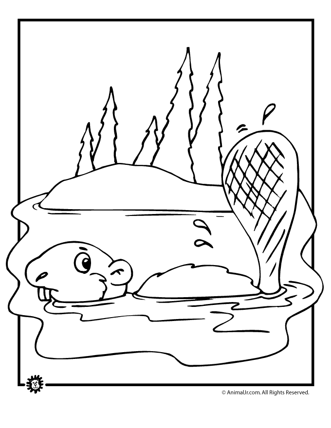 Rainforest Animal Coloring Sheets | Free coloring pages
