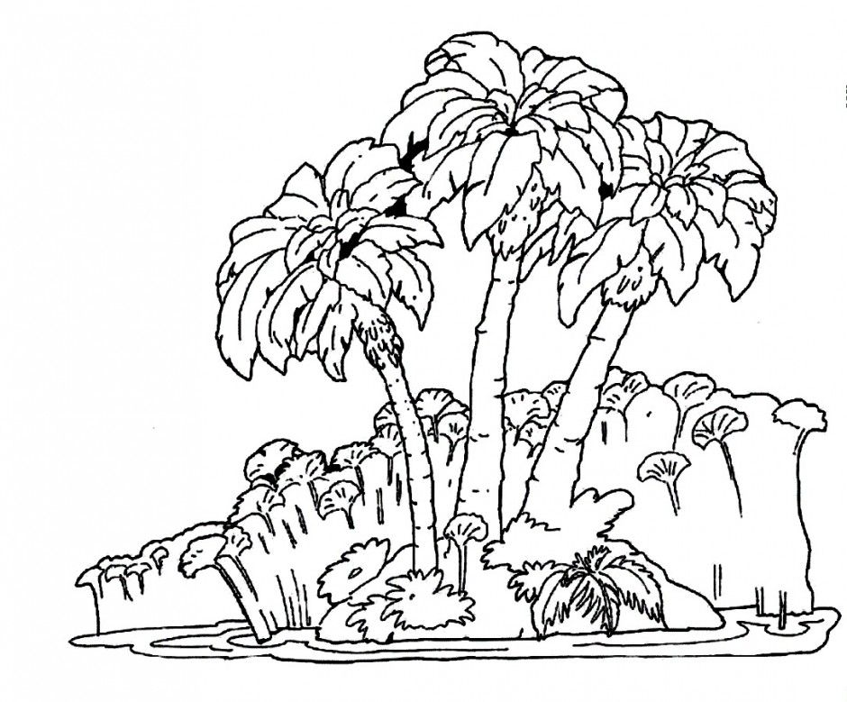 Rainforest Trees Coloring Pages Online Coloring Pages Princess 
