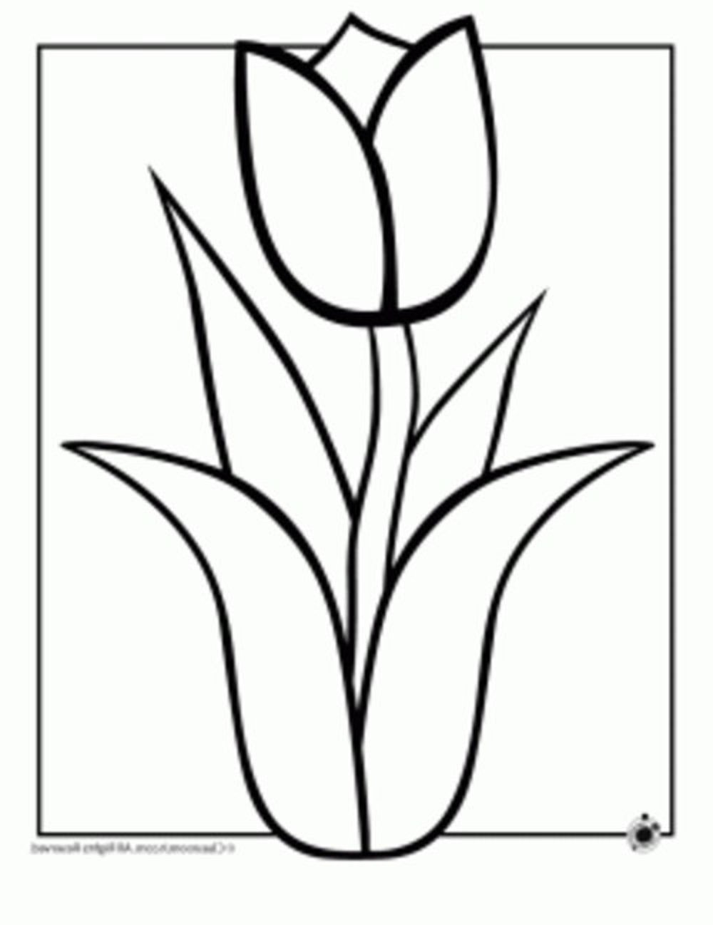 hawaiian-flowers-coloring-pages | | BestAppsForKids.com