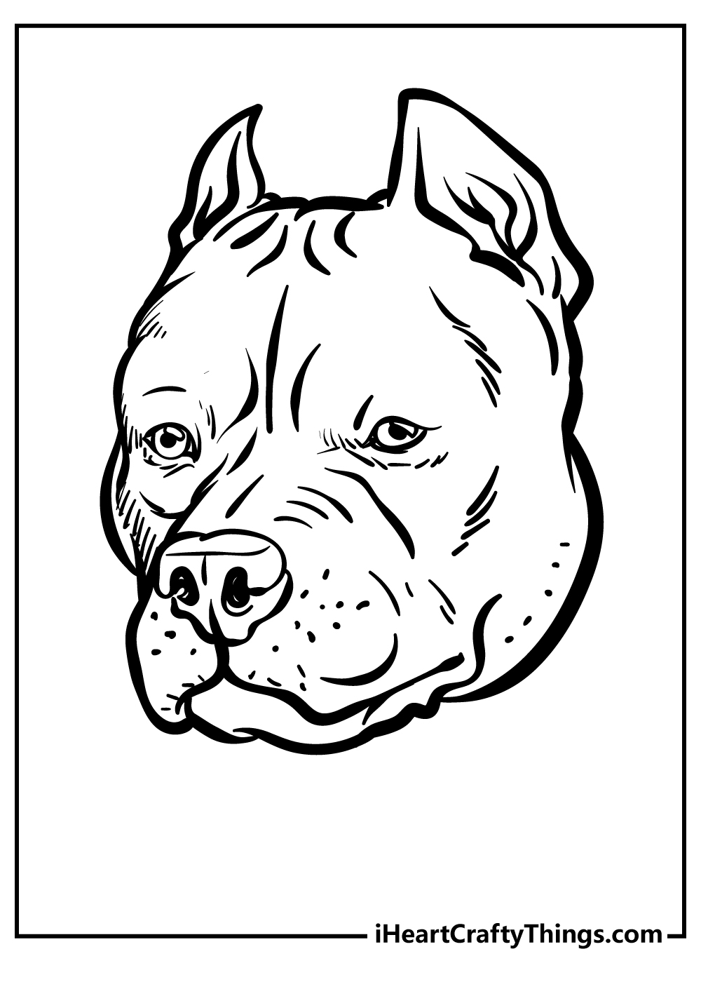 Printable Pitbull Coloring Pages (Updated 2022)