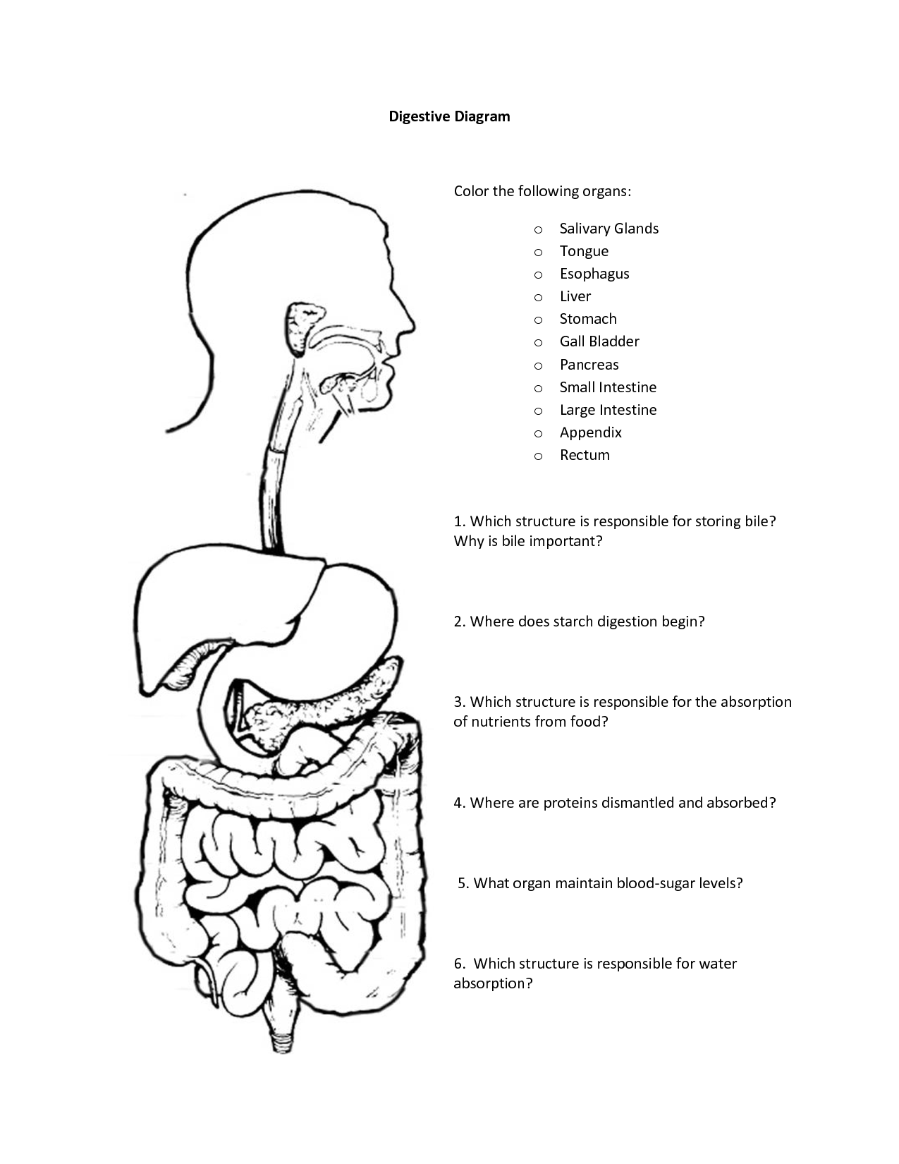 Digestive System Coloring Sheet - Coloring Pages for Kids and for ...