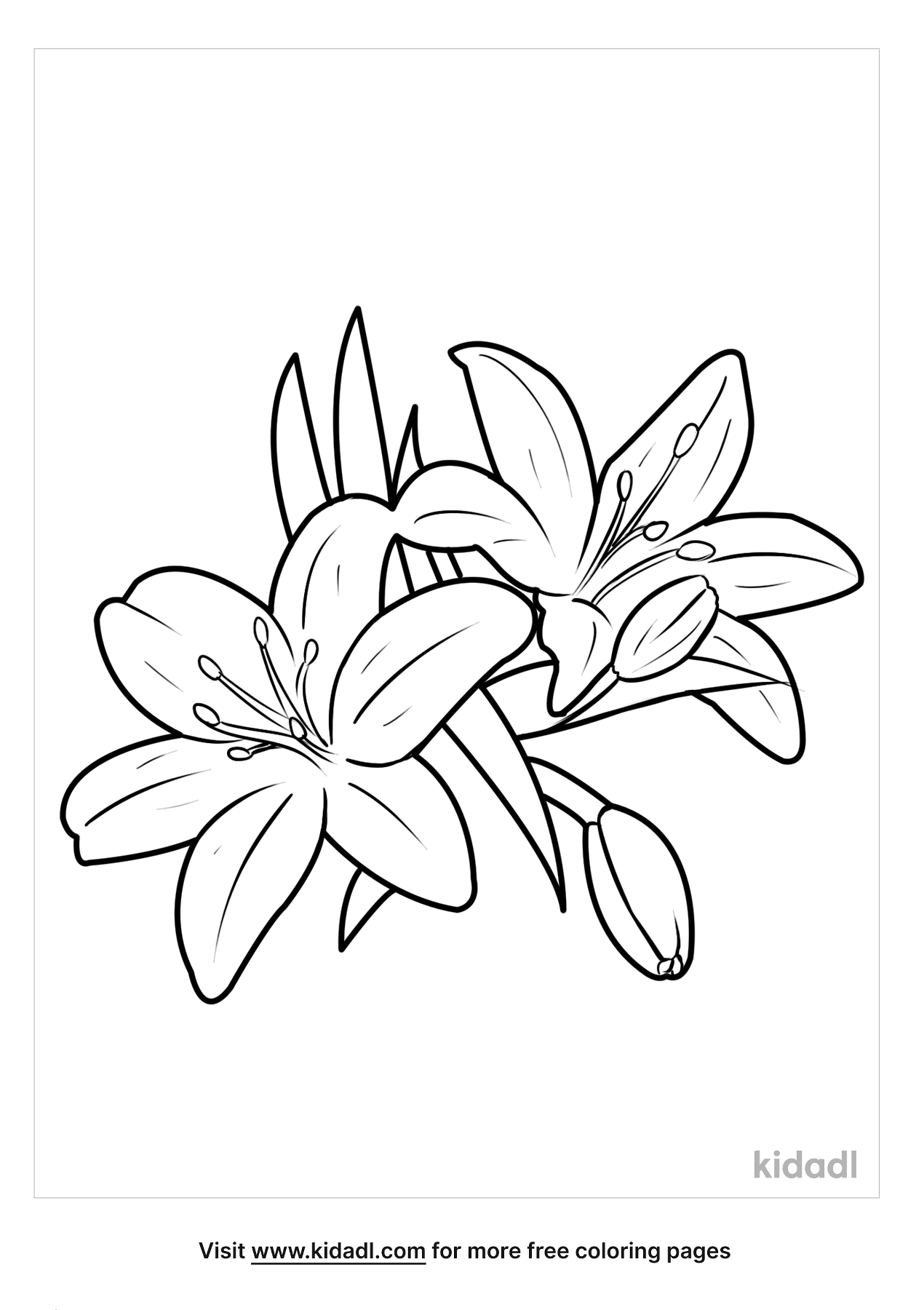 Lily Coloring Pages | Free Flowers Coloring Pages | Kidadl