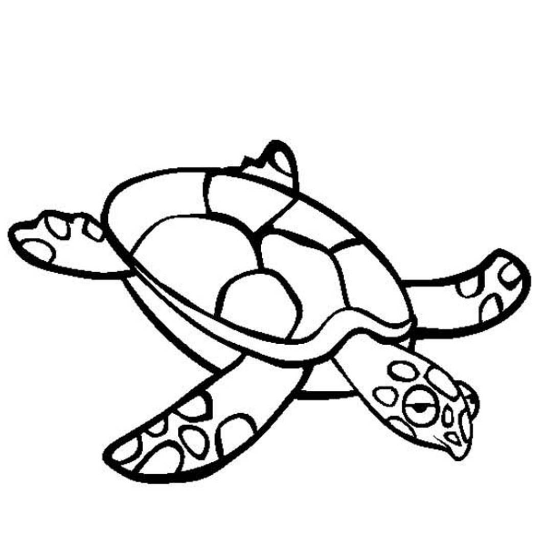 Sea Turtle Coloring Page | Animal Coloring pages of ...