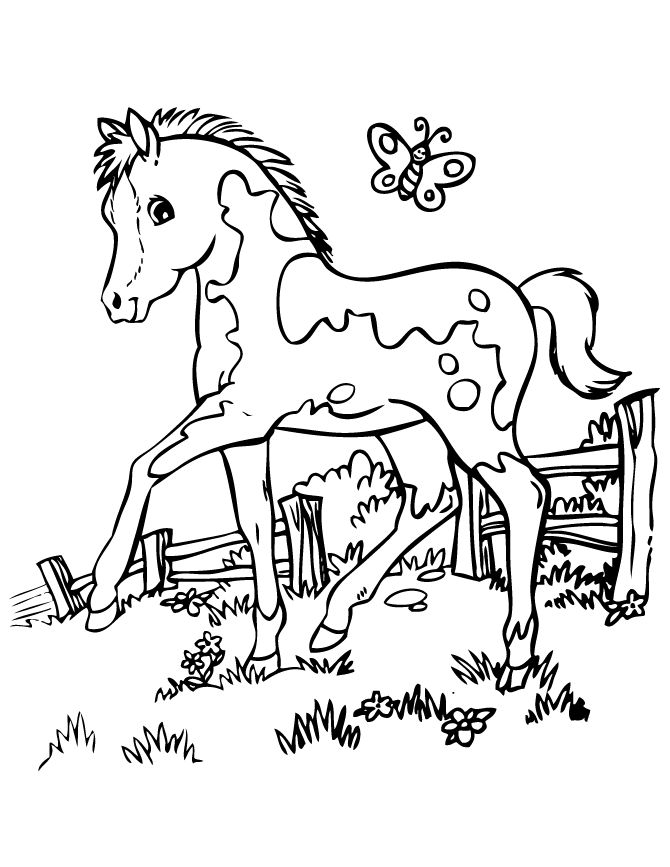http://www.hmcoloringpages.com/wp-content/uploads/pretty_horse_coloring_page.gif  | Horse coloring pages, Horse coloring, Coloring books